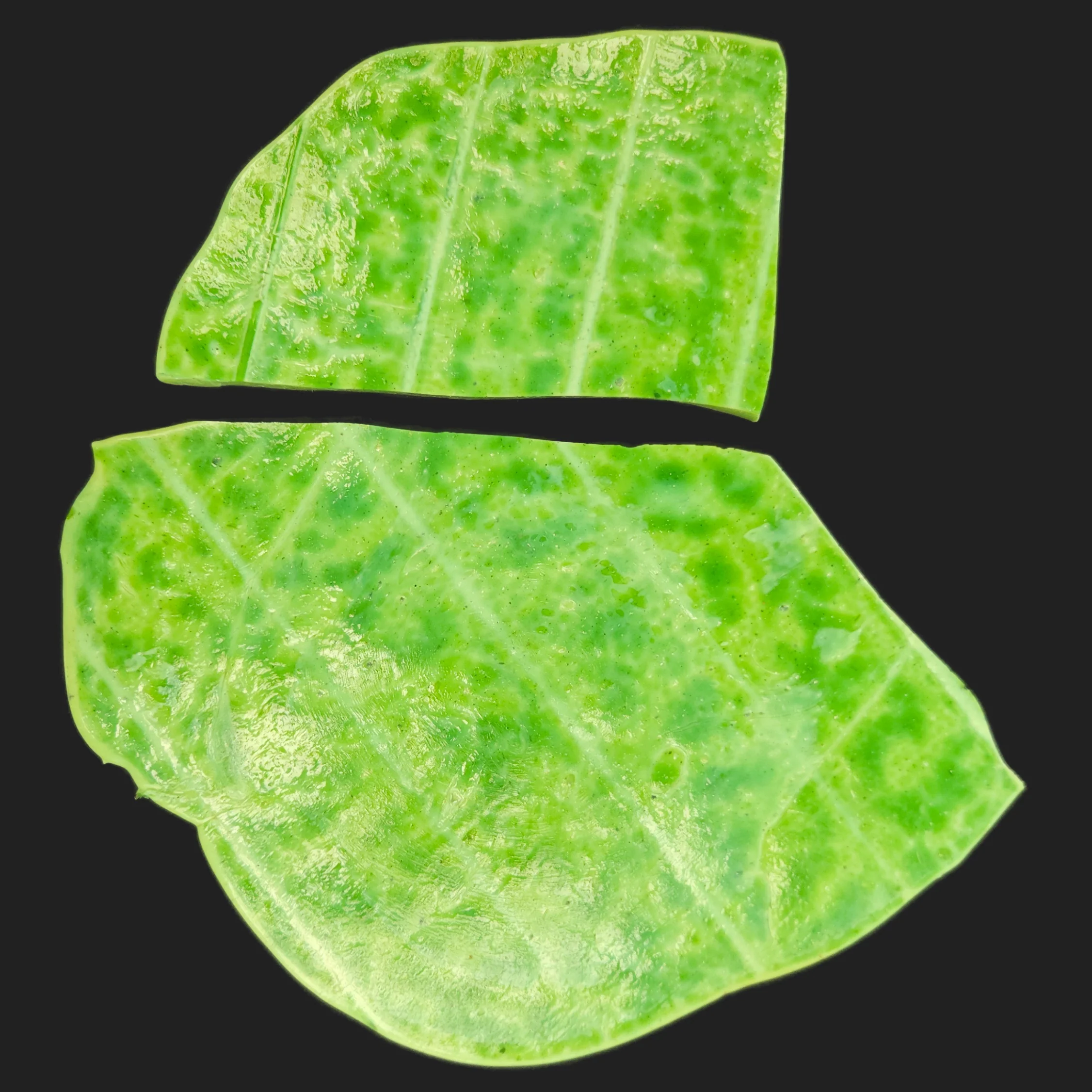 Tortilla